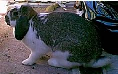 image05.jpg