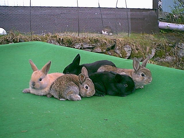 image110.jpg