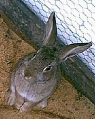 image08.jpg